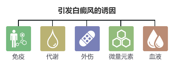 白癜风发病率持续上升的原因有哪些